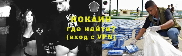прущие грибы Алзамай