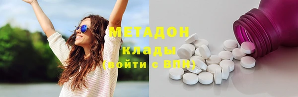 прущие грибы Алзамай