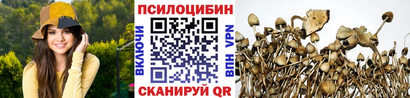 Псилоцибиновые грибы мицелий  продажа наркотиков  Крым 
