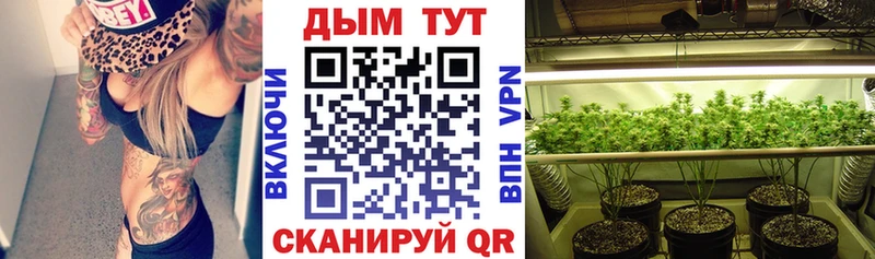 Шишки марихуана планчик  Крым 